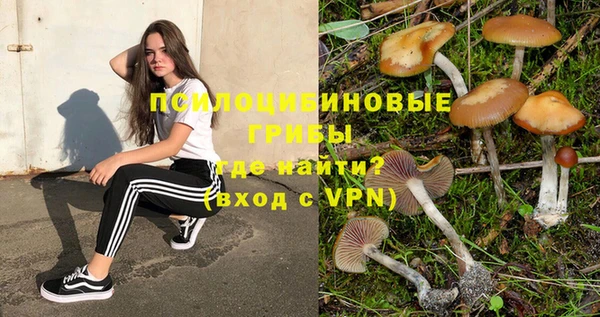 СК Армянск