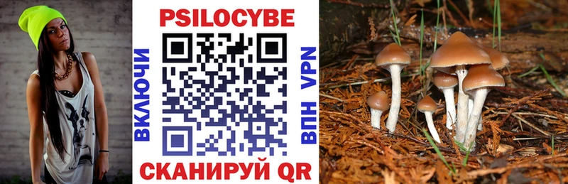 Галлюциногенные грибы GOLDEN TEACHER  Купить закладки  Киров 